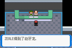 《口袋妖怪：決心》二周目圖文攻略