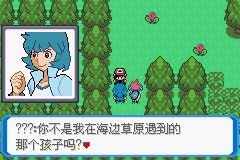 《口袋妖怪：決心》一周目圖文攻略