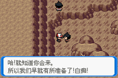 《口袋妖怪：決心》一周目圖文攻略