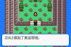 《口袋妖怪：決心》二周目圖文攻略