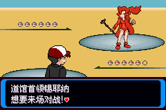 《口袋妖怪：決心》二周目圖文攻略
