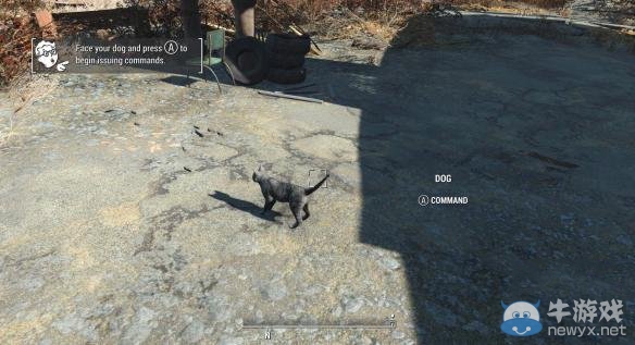 《輻射4》狗肉替換為貓咪MOD使用教程