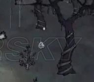 《饑荒》海難新怪物植物有哪些