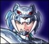 《圣斗士星矢：斗士之魂》全角色圣衣招式一覽