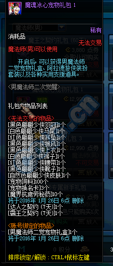 《DNF》男魔法師魔魂冰心寵物禮包