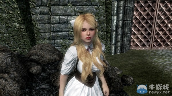 《上古卷軸5：天際》各類型美女隨從MOD合集