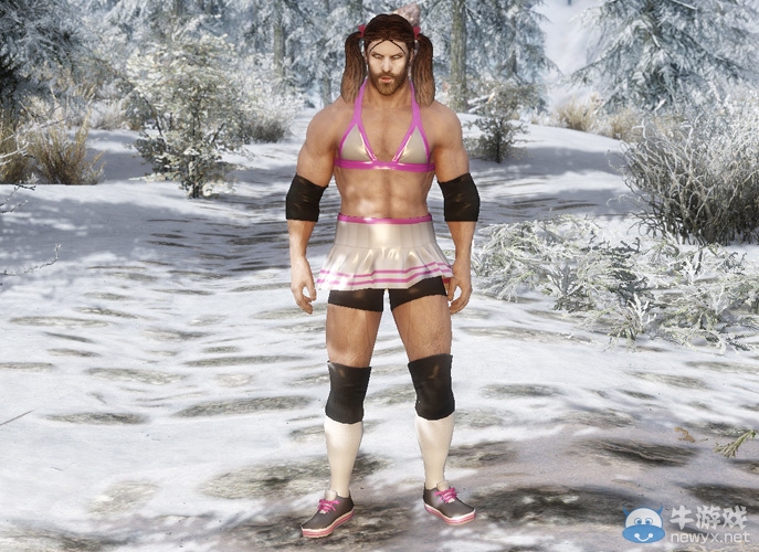 《上古卷軸5：天際》各類型美女隨從MOD合集