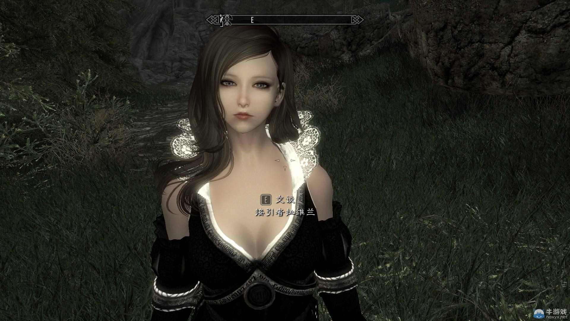 《上古卷軸5：天際》各類型美女隨從MOD合集