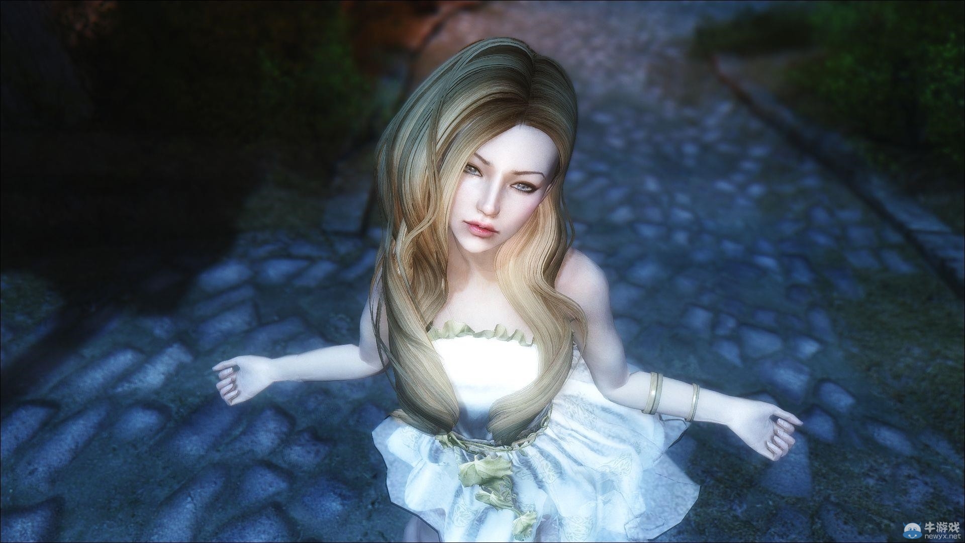 《上古卷軸5：天際》各類型美女隨從MOD合集