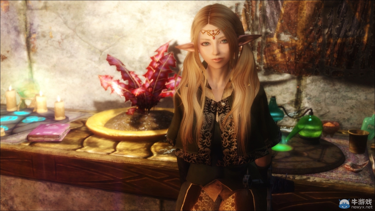 《上古卷軸5：天際》各類型美女隨從MOD合集