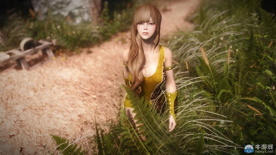 《上古卷軸5：天際》各類型美女隨從MOD合集