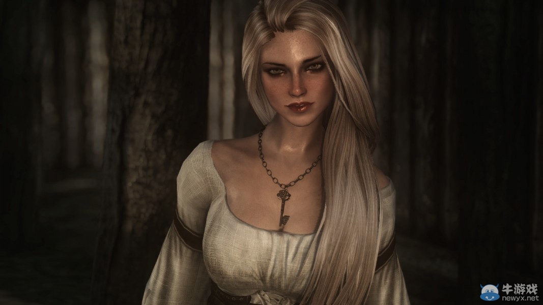 《上古卷軸5：天際》各類型美女隨從MOD合集