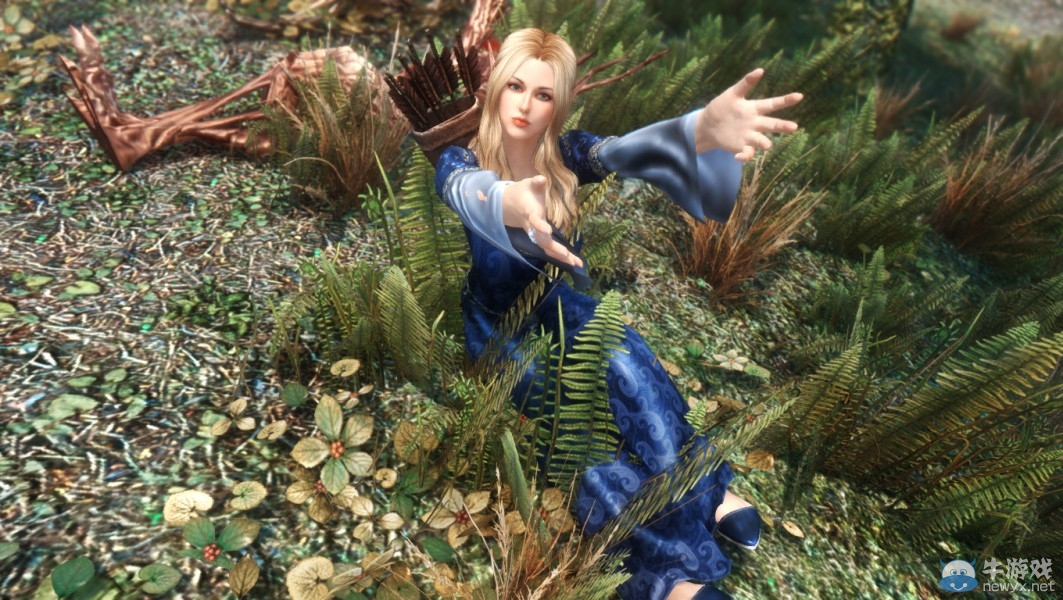 《上古卷軸5：天際》各類型美女隨從MOD合集