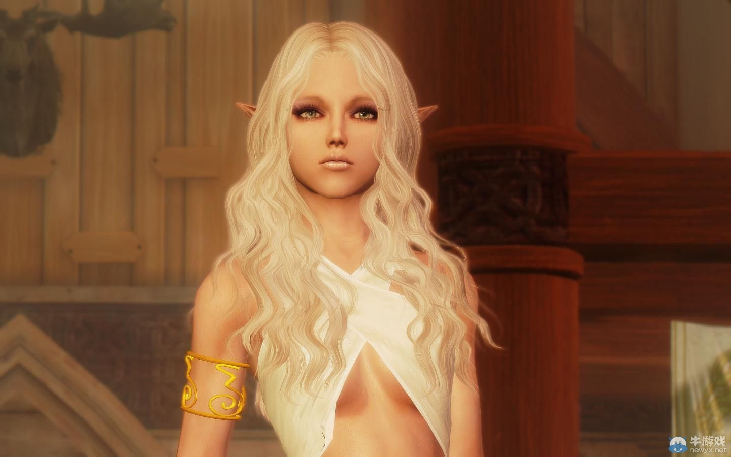 《上古卷軸5：天際》各類型美女隨從MOD合集