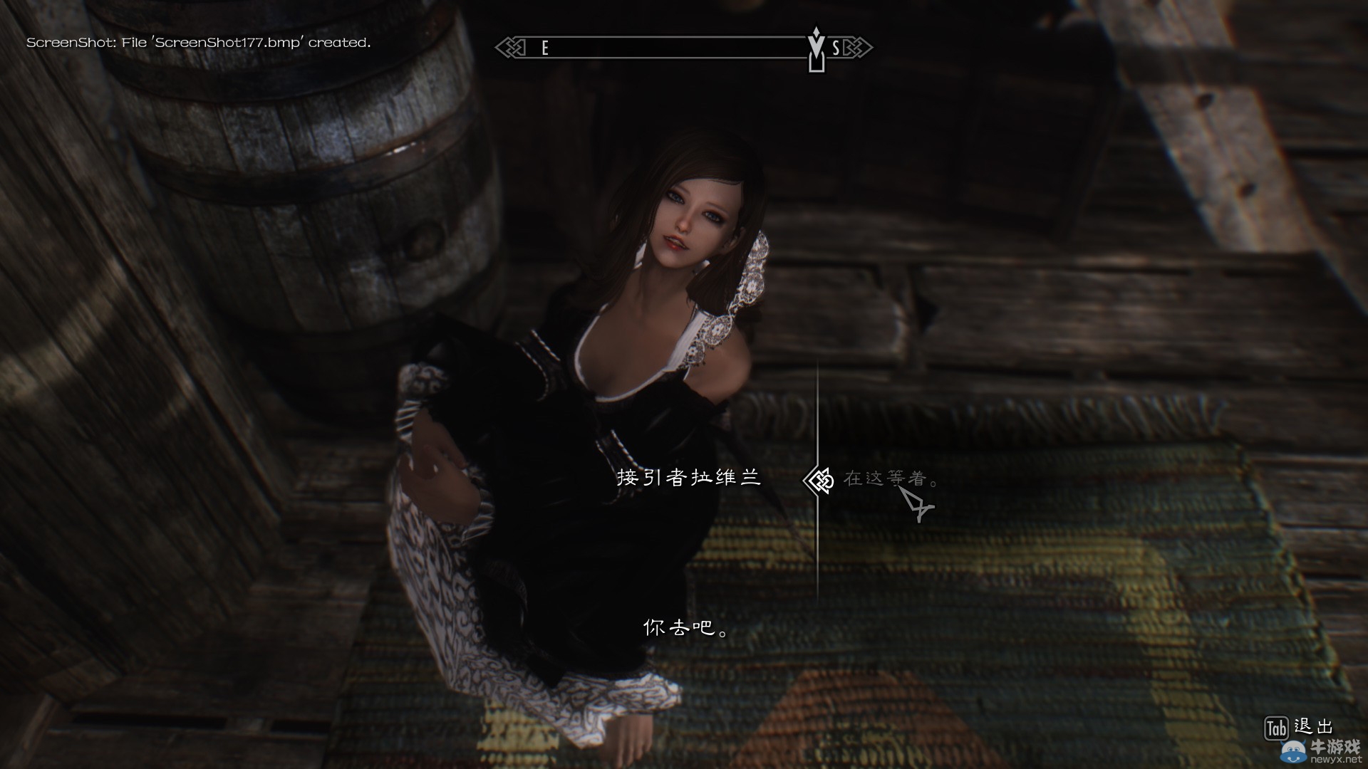 《上古卷軸5：天際》各類型美女隨從MOD合集