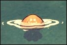 《饑荒》DLC海難新增生物圖鑒大全