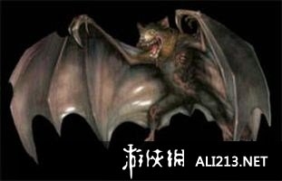 《生化危機0：HD重制版》全怪物數(shù)據(jù)資料大全