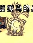 《饑荒》DLC海難渡渡鳥(niǎo)出現(xiàn)位置及捕捉方法介紹