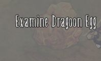 《饑荒》DLC海難2月5日更新內(nèi)容一覽