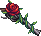 《DNF》薔薇綻放活動