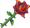 《DNF》薔薇綻放活動
