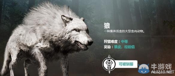《孤島驚魂：原始殺戮》野獸馴服圖文教程