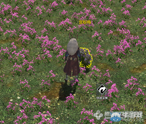 《天涯明月刀》花朝節活動攻略