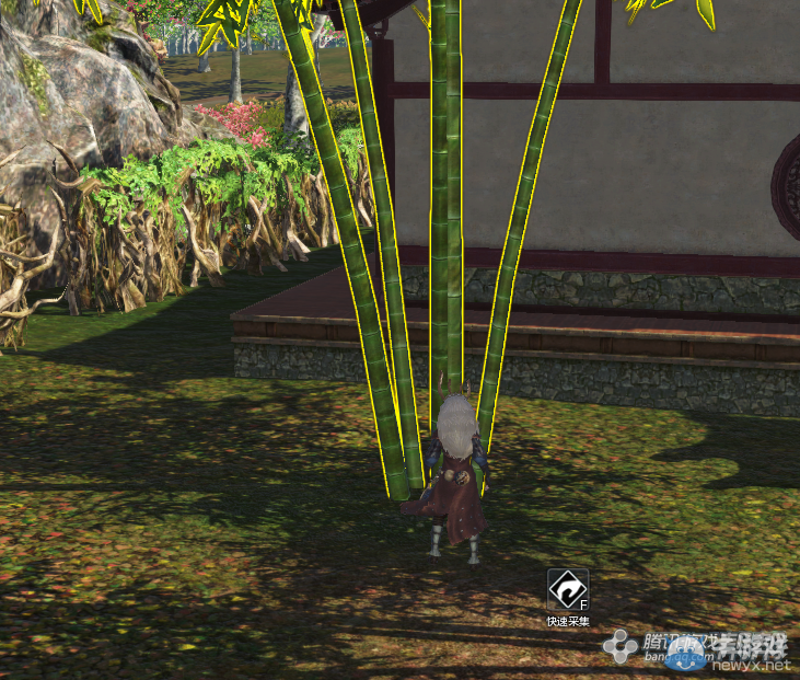 《天涯明月刀》花朝節活動攻略