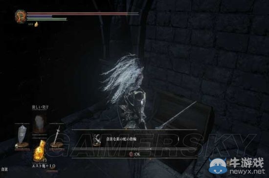《黑暗之魂3》地圖隱藏要素圖文流程攻略