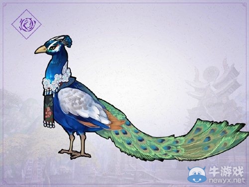 《劍網(wǎng)3》五毒跟寵孔雀線索介紹