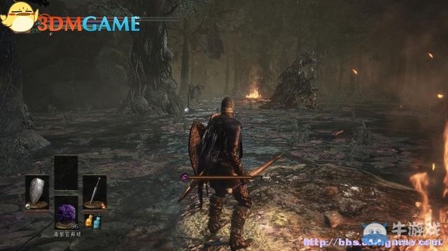 《黑暗之魂3》全流程圖文攻略（收集+全BOSS）（完結(jié)）