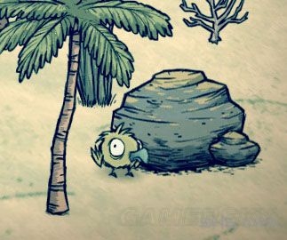 《饑荒》海難渡渡鳥屬性特征及繁殖方法