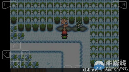 《口袋妖怪最強(qiáng)進(jìn)化V3.0最終版》圖文攻略（全）