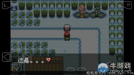 《口袋妖怪最強(qiáng)進(jìn)化V3.0最終版》圖文攻略（全）