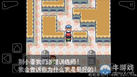 《口袋妖怪最強進化V3.0最終版》圖文攻略（全）