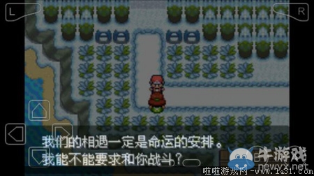 《口袋妖怪最強(qiáng)進(jìn)化V3.0最終版》圖文攻略（全）