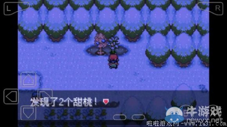 《口袋妖怪最強(qiáng)進(jìn)化V3.0最終版》圖文攻略（全）
