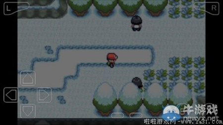 《口袋妖怪最強(qiáng)進(jìn)化V3.0最終版》圖文攻略（全）