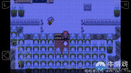 《口袋妖怪最強進化V3.0最終版》圖文攻略（全）
