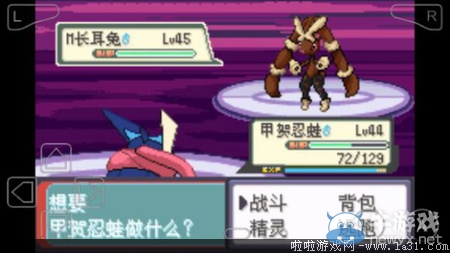 《口袋妖怪最強(qiáng)進(jìn)化V3.0最終版》圖文攻略（全）