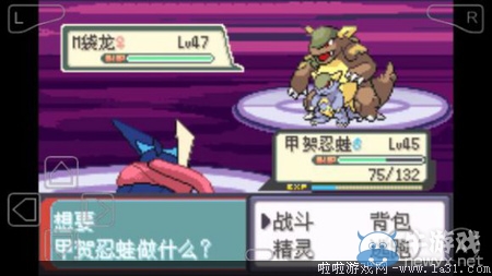 《口袋妖怪最強(qiáng)進(jìn)化V3.0最終版》圖文攻略（全）