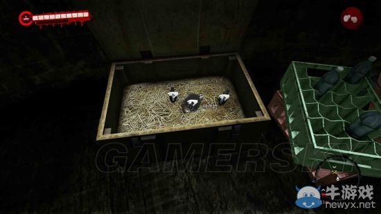 《死亡島/死亡島激流》終極版主線支線流程圖文攻略