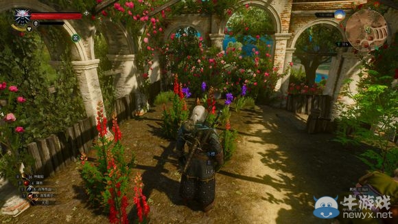 《巫師3》血與酒全可以接的任務完成心得