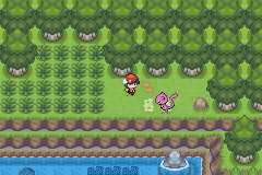 《口袋妖怪白金光》詳細(xì)圖文攻略（全）