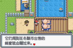 《口袋妖怪白金光》詳細(xì)圖文攻略（全）