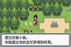 《口袋妖怪白金光》詳細(xì)圖文攻略（全）