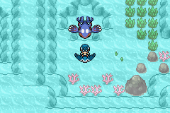 《口袋妖怪白金光》詳細圖文攻略（全）