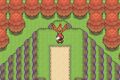 《口袋妖怪白金光》詳細圖文攻略（全）