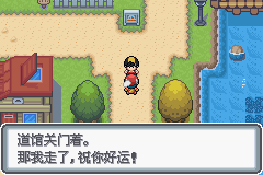 《口袋妖怪白金光》詳細(xì)圖文攻略（全）