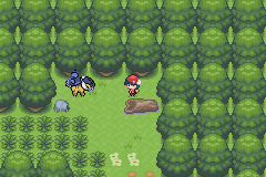 《口袋妖怪白金光》詳細(xì)圖文攻略（全）